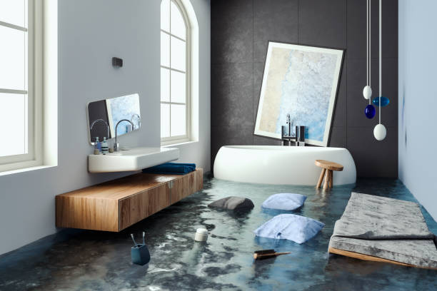 Best 24/7 water damage repair  in Downers Grove, IL