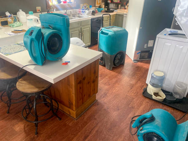 Trusted Downers Grove, IL Water damage restoration Experts