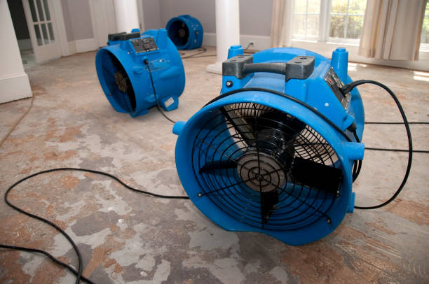 Best Ceiling water damage repair  in Downers Grove, IL