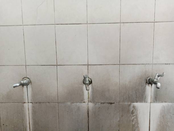 Best Flooded house restoration  in Downers Grove, IL
