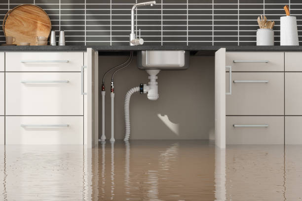 Best Flooded house restoration  in Downers Grove, IL