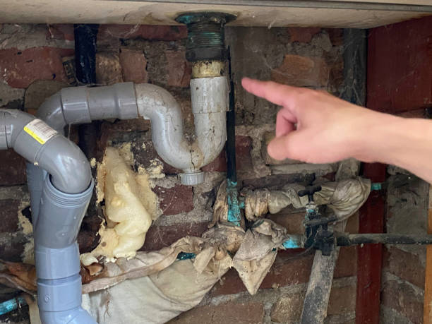 Best Water damage repair service  in Downers Grove, IL