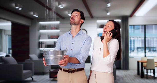 Best Flood damage cleanup  in Downers Grove, IL