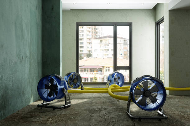 Sewage cleanup and water damage restoration in Downers Grove, IL