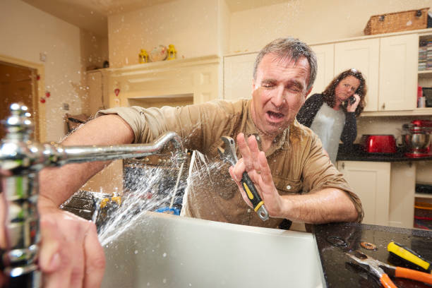 Best Flooded house restoration  in Downers Grove, IL